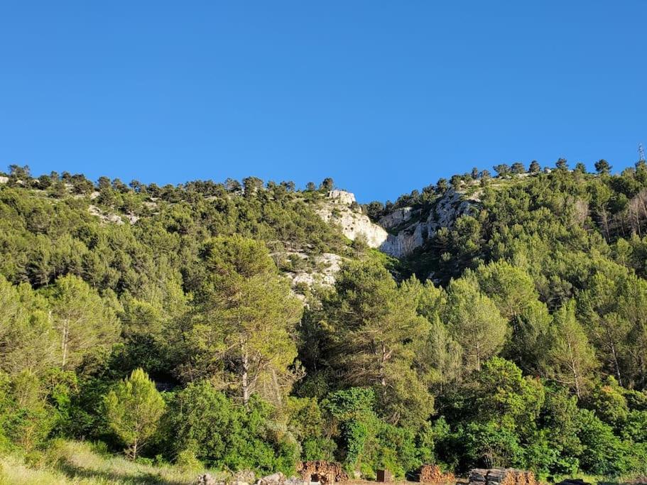 Les Prairies De Fenestrelle Spa & Piscine Au Calme Aubagne Kültér fotó