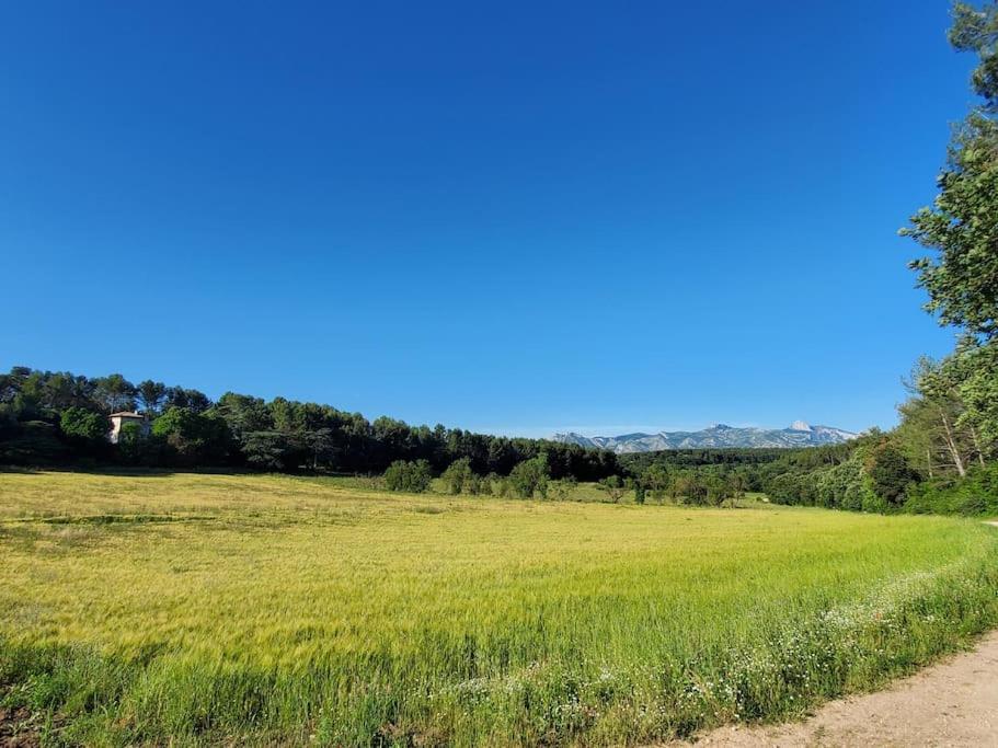 Les Prairies De Fenestrelle Spa & Piscine Au Calme Aubagne Kültér fotó
