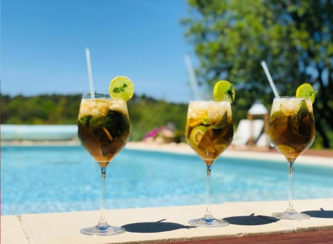 Les Prairies De Fenestrelle Spa & Piscine Au Calme Aubagne Kültér fotó
